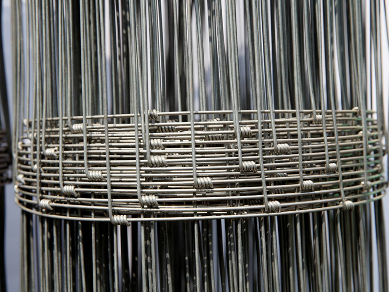 Filed Fence