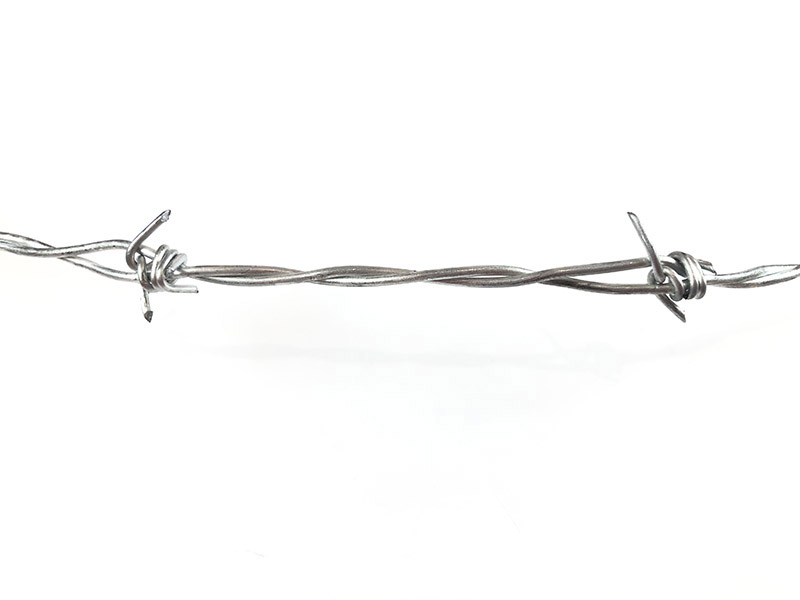 Barbed Wire